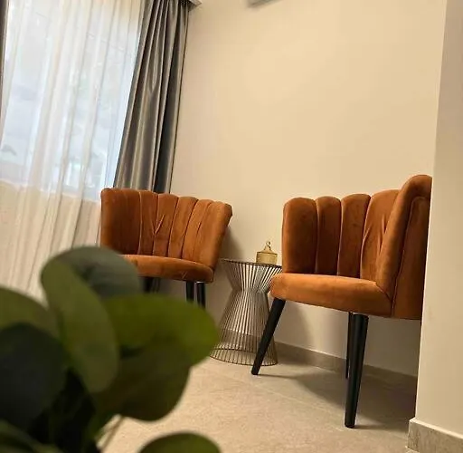 Apartament Z * Timişoara